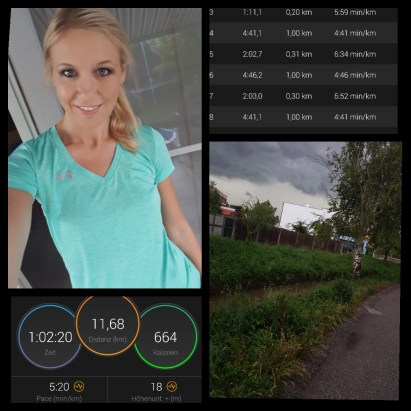 IMG_2018-06-12_21-02-33