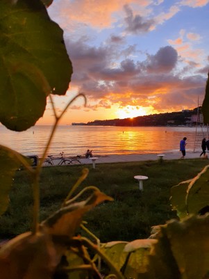 PicsArt_06-14-10.53.57